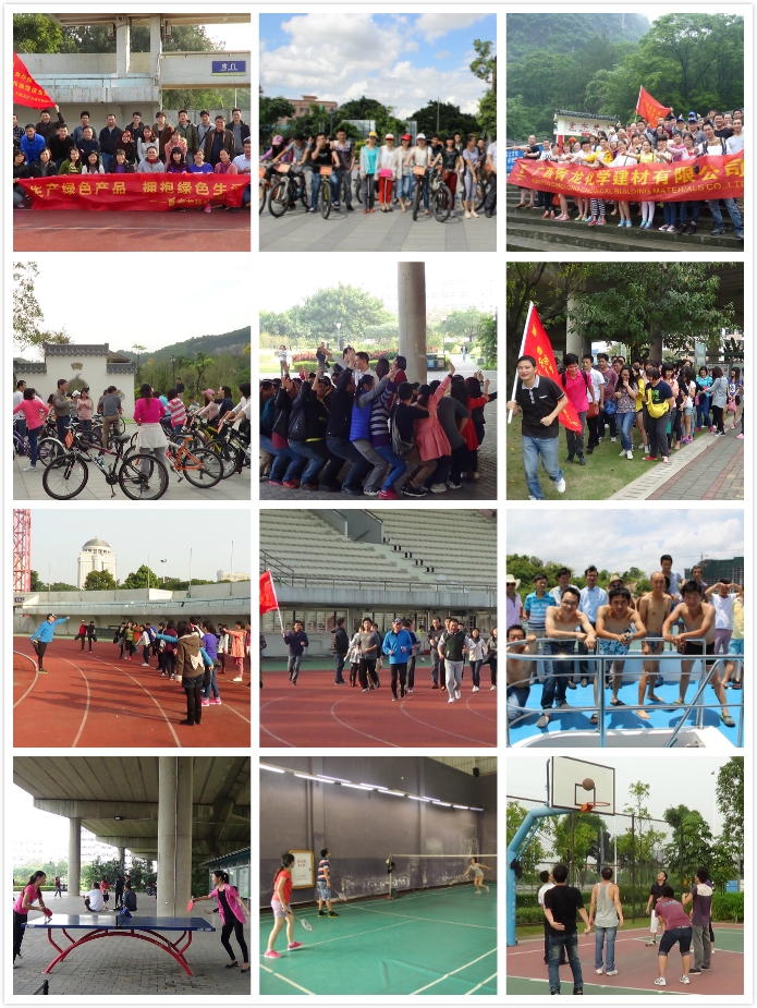 青龍集團(tuán)倡導(dǎo)之運(yùn)動(dòng)修身企業(yè)文化理念 青龍防水