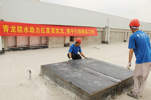 青龍防水工程獲得雅居樂地產(chǎn)防水專業(yè)工程綜合評(píng)比一名 佛山防水