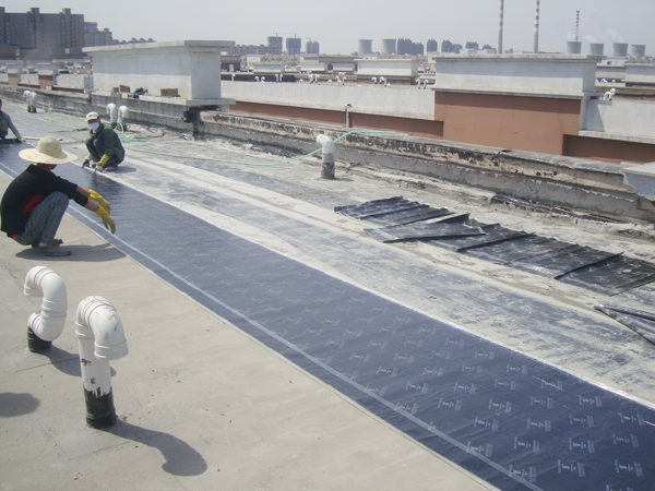 青龍防水卷材應(yīng)用在長春凱利國際工業(yè)品交易中心等屋面防水工程中 江西防水